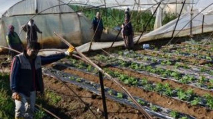 Manavgat'ta hortum etkili oldu, seralar zarar gördü