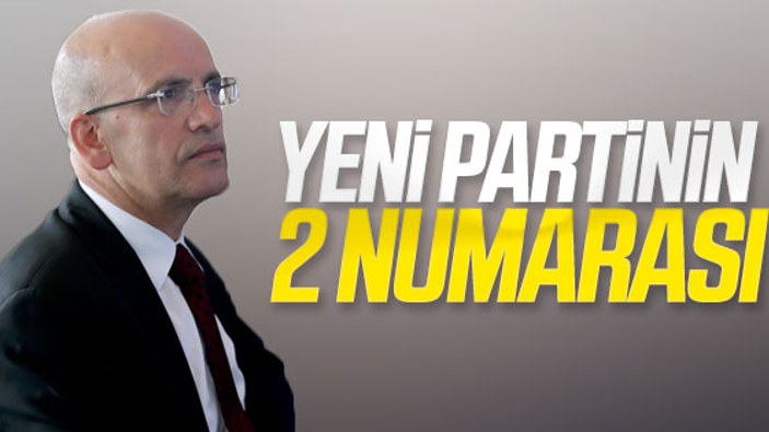 Mehmet Şimşek, Babacan'ın partisiyle siyasete dönüyor