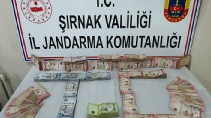 Şırnak'ta uyuşturucu ve kaçakçılık operasyonu: 33 gözaltı