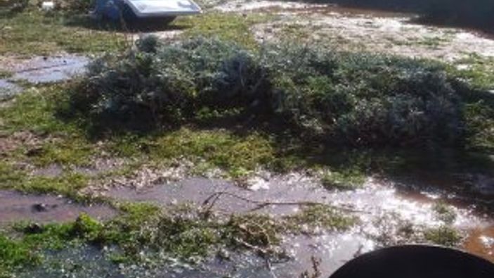 Büyükada'da büyük dalgalar paniğe neden oldu