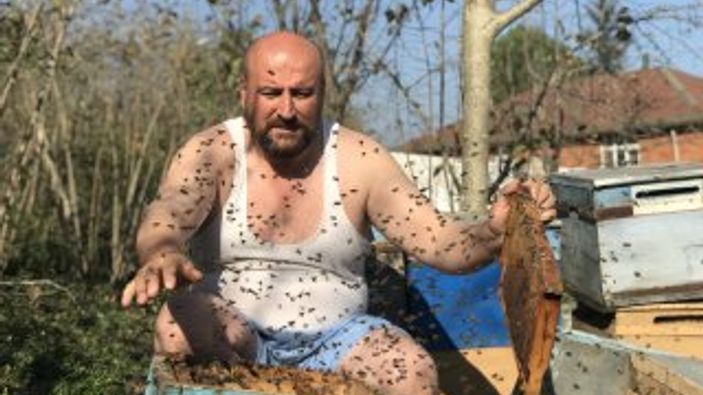 Ordu'da arılar beni tanır dedi peteklerin arasına daldı