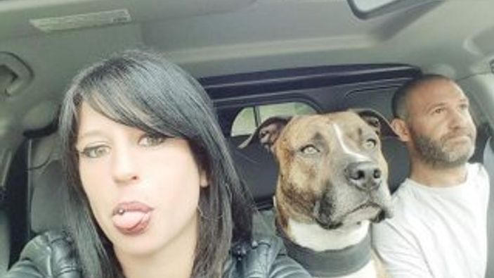 Fransa'da avcı köpekleri, hamile kadını ısırarak öldürdü