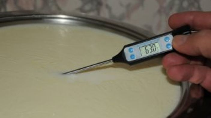Pastörize nedir