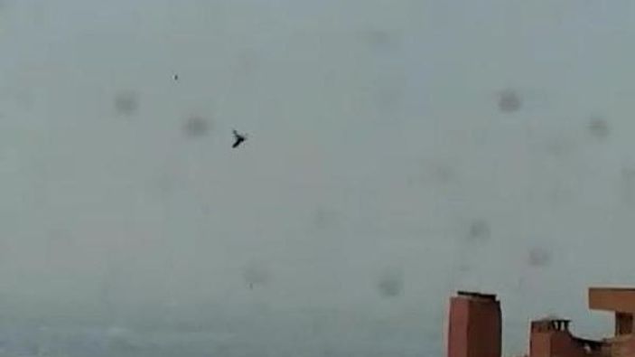 İzmir'de, evin çevresinde uçuşan böcekler şaşırttı