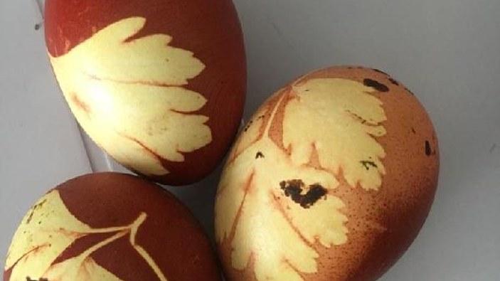 Bahçıvanın maydanoz desenli yumurta iddiasına yanıt geldi