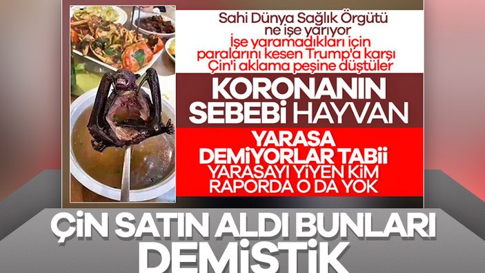 Çin’den DSÖ’ye 30 milyon dolarlık bağış