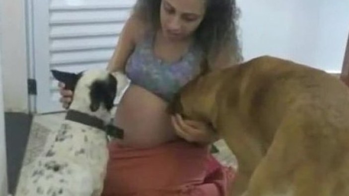 Brezilya’da ikiz bebekler köpek saldırısında öldü