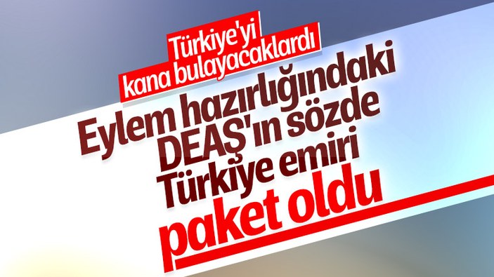 DEAŞ'ın sözde Türkiye emiri yakalandı