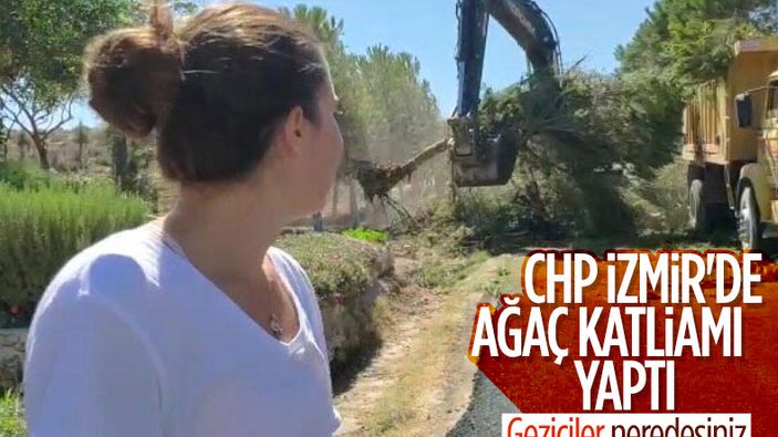İzmir'de CHP'li belediyenin ağaç katliamı genç kızı gözyaşlarına boğdu