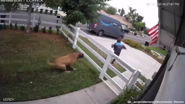 Amerika'da köpekten korkan kurye çitlerden atladı