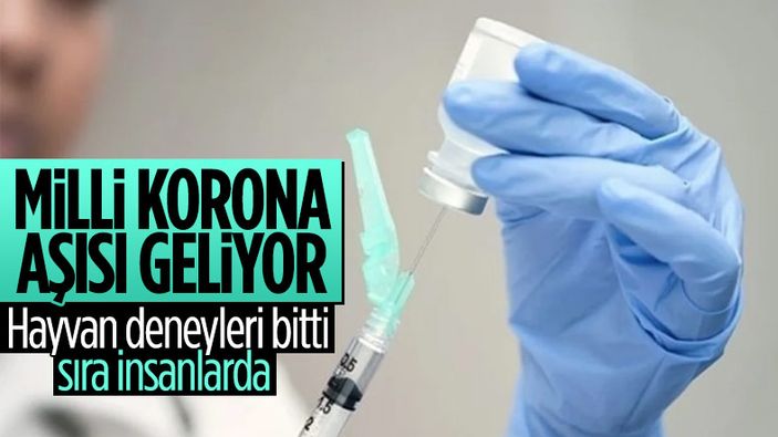 Sanayi ve Teknoloji Bakanı Mustafa Varank: İki aşıda hayvan deneyi aşaması bitti