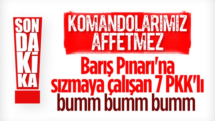 Barış Pınarı bölgesinde 7 terörist öldürüldü