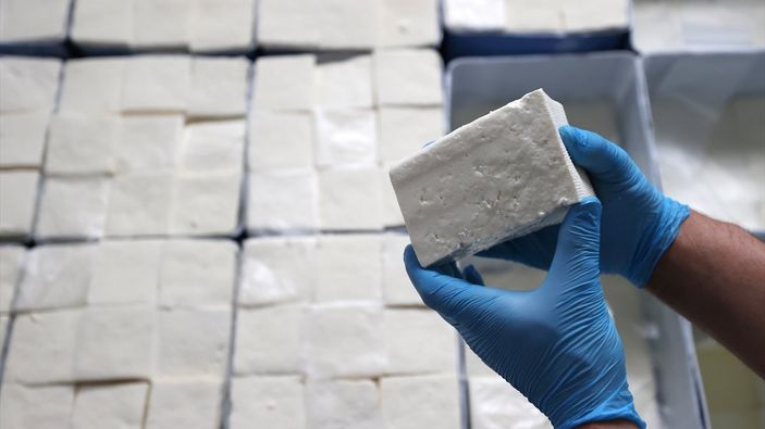 Bursa'da 'Sorgun peyniri'nin marka değerinin artması için çalışılıyor
