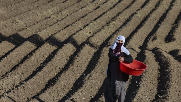 Nevşehir'de çiftçiler kuraklık endişesi taşıyor