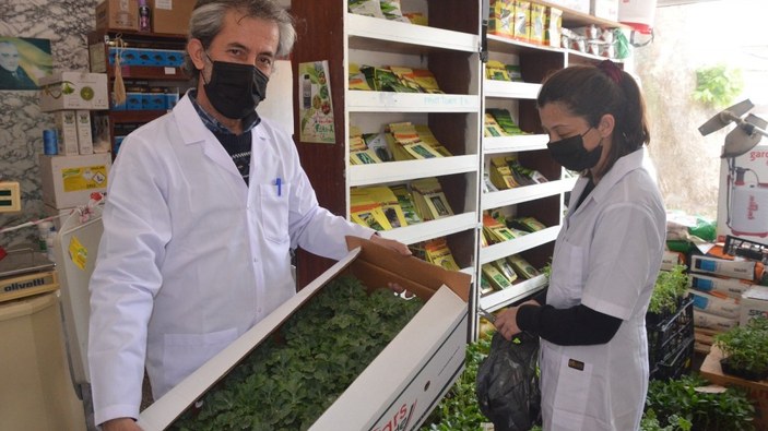 Sinop’ta pandemi sebze fidesi satışlarını artırdı