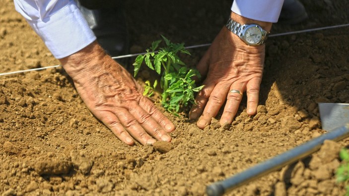 Muğla’da ata tohumları toprakla buluştu