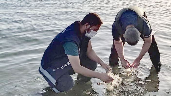 Van'da, kaçak 1.2 ton inci kefali avına 9 bin lira ceza kesildi