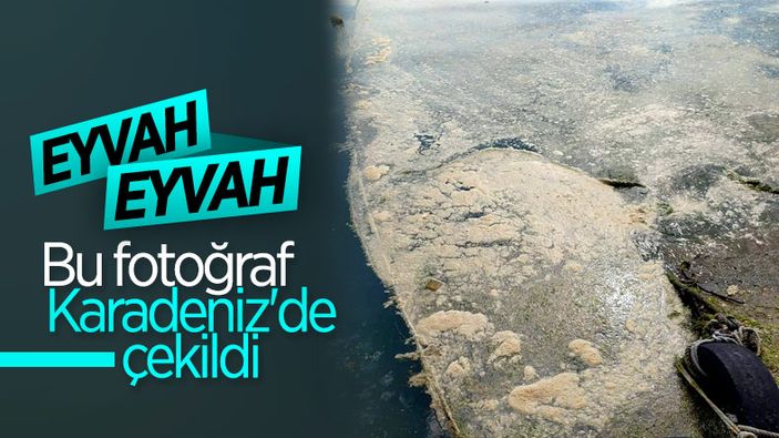 Karadeniz’de deniz salyası
