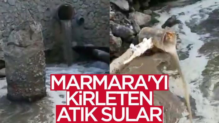 Kocaeli'de atık sular Marmara Denizi'ne dökülürken görüntülendi