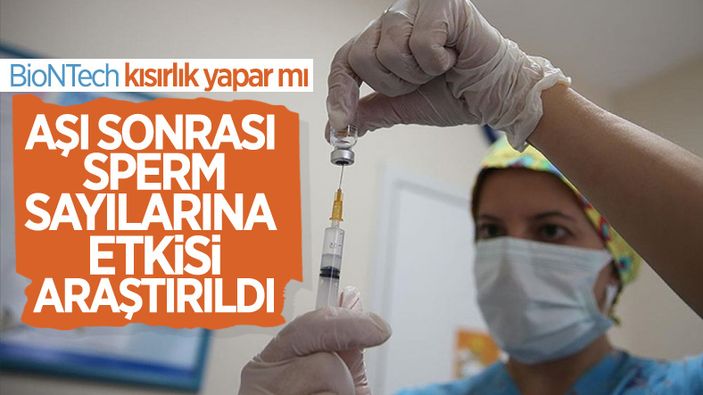 Koronavirüs aşılarının kısırlığa yol açmadığı kanıtlandı