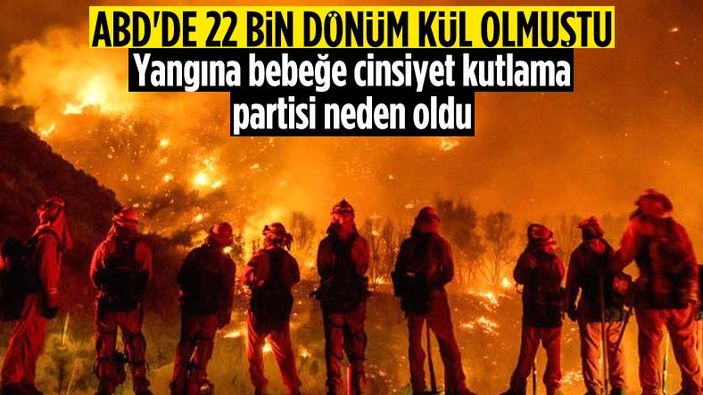 ABD'de cinsiyet partisi faciaya sebep oldu