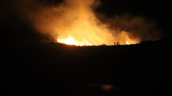 Muğla'da 10 hektarlık alanda yangın çıktı