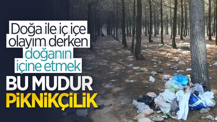Sarıyer'de piknikçilerin ormana attığı çöpler tepki çekti