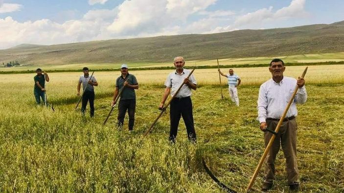 Kuraklık çiftçiyi eski aletlere yönlendirdi
