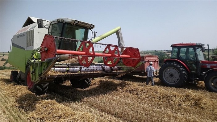 Edirne'de buğday hasadı sona erdi