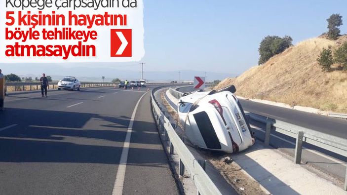 Manisa'da şoför, köpeğe çarpmamak için kaza yaptı