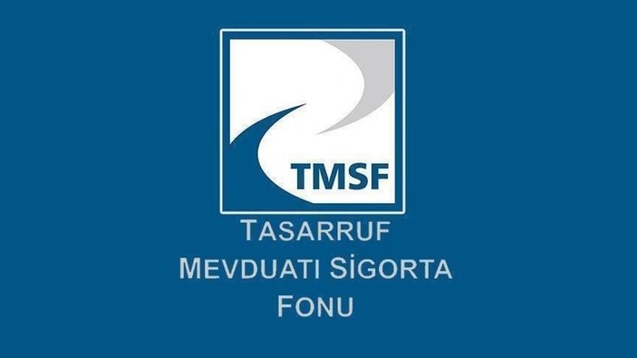 21 tasarruf finansman şirketinin tasfiyesi TMSF’de