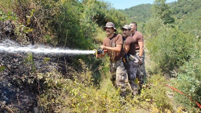 Kocaeli'de özel harekat polisi, kaplumbağayı yanmaktan kurtardı