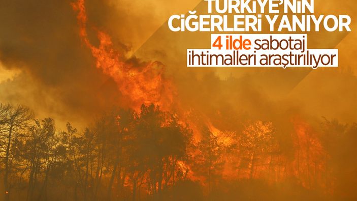 Türkiye'nin ormanları yanıyor