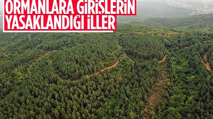 Ormana giriş yasağı alınan iller