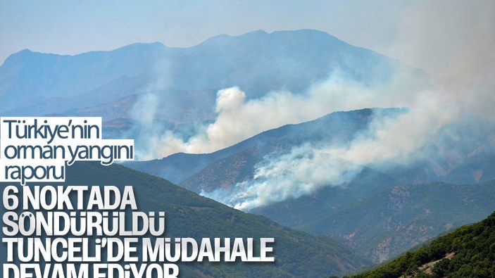 Türkiye genelinde 6 orman yangını kontrol altına alındı