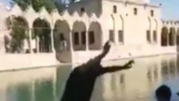 Sosyal medyadan canlı yayın yapan kişi, Balıklıgöl'e düştü