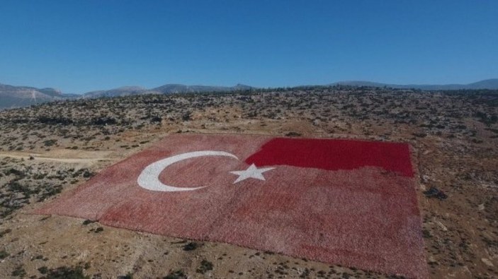 Mersin'de zemine işlenmiş en büyük Türk bayrağı boyanıyor