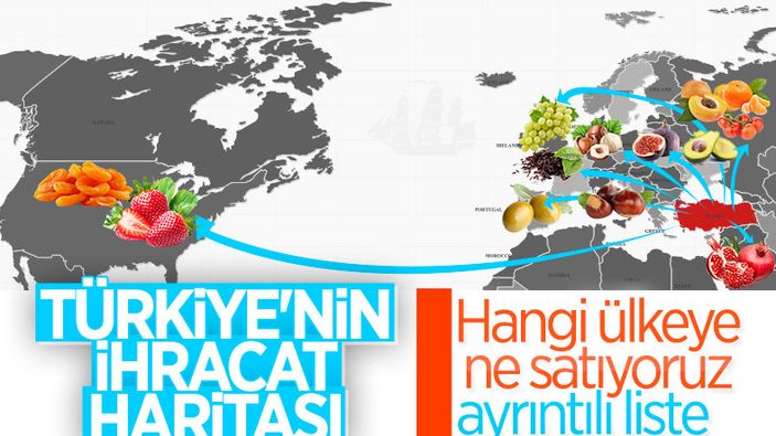 Türkiye hangi ülkeye hangi ürünü satıyor