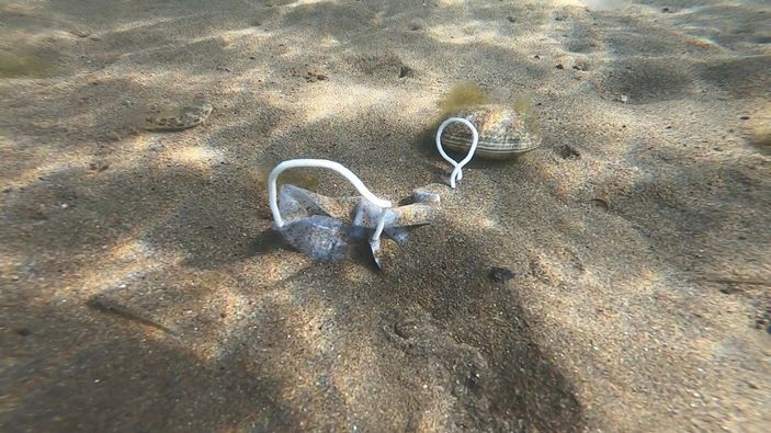İzmit Körfezi'nde maske kirliliği