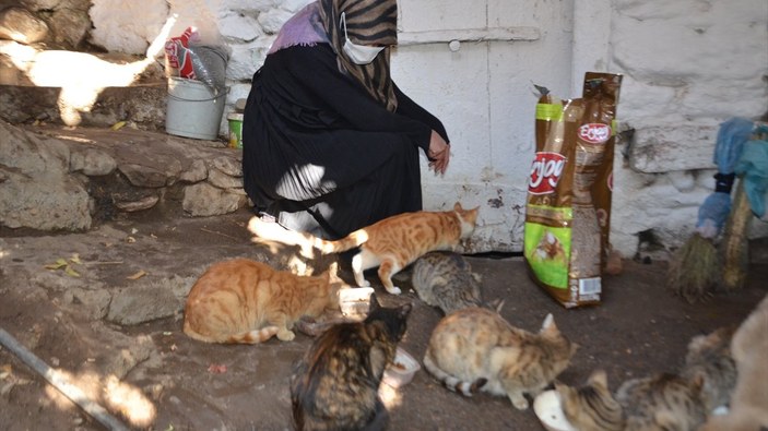 Muş'ta 8 yıldır sahiplendiği kedileri evinde besliyor