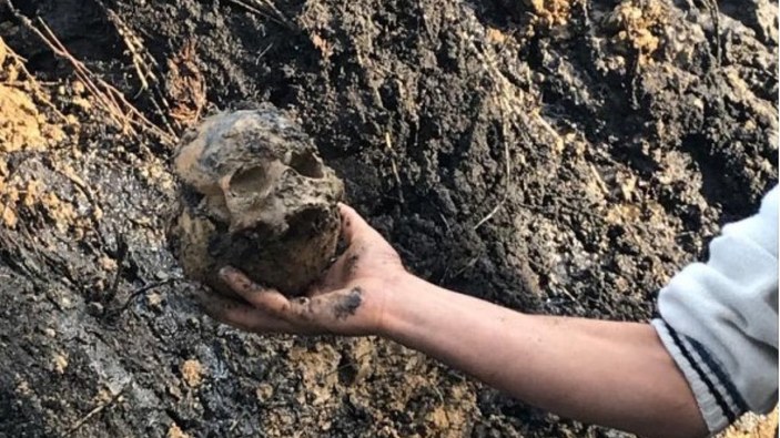 Aydın'da bir okul bahçesinde kafatası ve kemik parçaları bulundu
