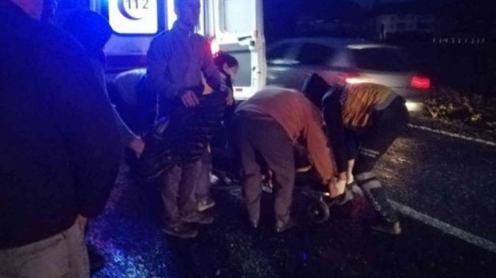 Zonguldak'ta hayvanların peşinden koşan kişiye, kamyonet çarptı
