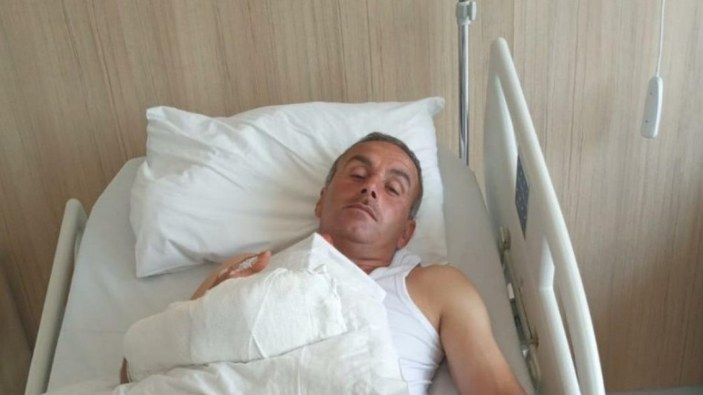 Kastamonu'da kaçan kurbanlığı yakalamaya çalışan kişi yaralandı