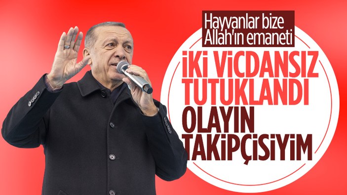 Cumhurbaşkanı Erdoğan'dan, Konya'daki hayvan barınağına ilişkin açıklama