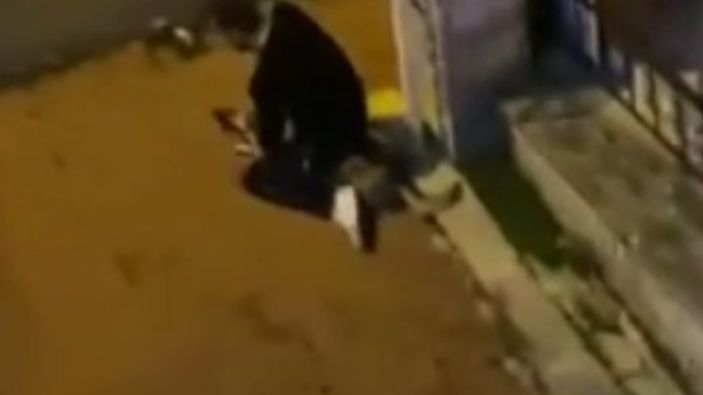 Sarıyer'de köpeği boğmaya çalışan kişi serbest bırakıldı