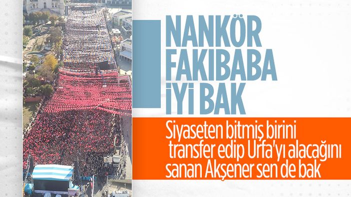 Cumhurbaşkanı Erdoğan, Şanlıurfa'da