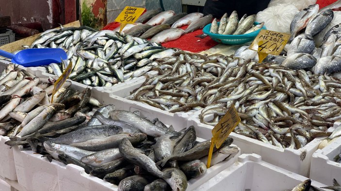 Karadeniz'de havaların soğumasıyla tezgahlar balıkla doldu