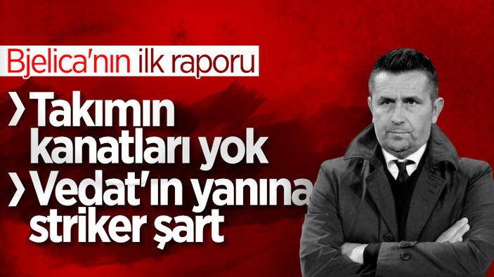 Bjelica'ya göre Fenerbahçe'nin eksikleri