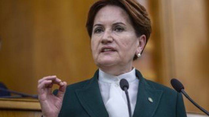 Meral Akşener'den Babacan ve Davutoğlu'na destek