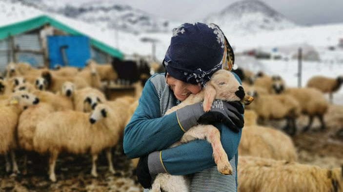 Tunceli'de besiciler, kışa rağmen kuzu sevinci yaşıyor